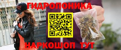 гидра Усть-Илимск