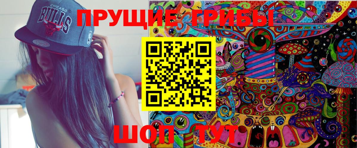 Галлюциногенные грибы Psilocybe  Псилоцибиновые грибы прущие грибы  Чебоксары  Вход с VPN 